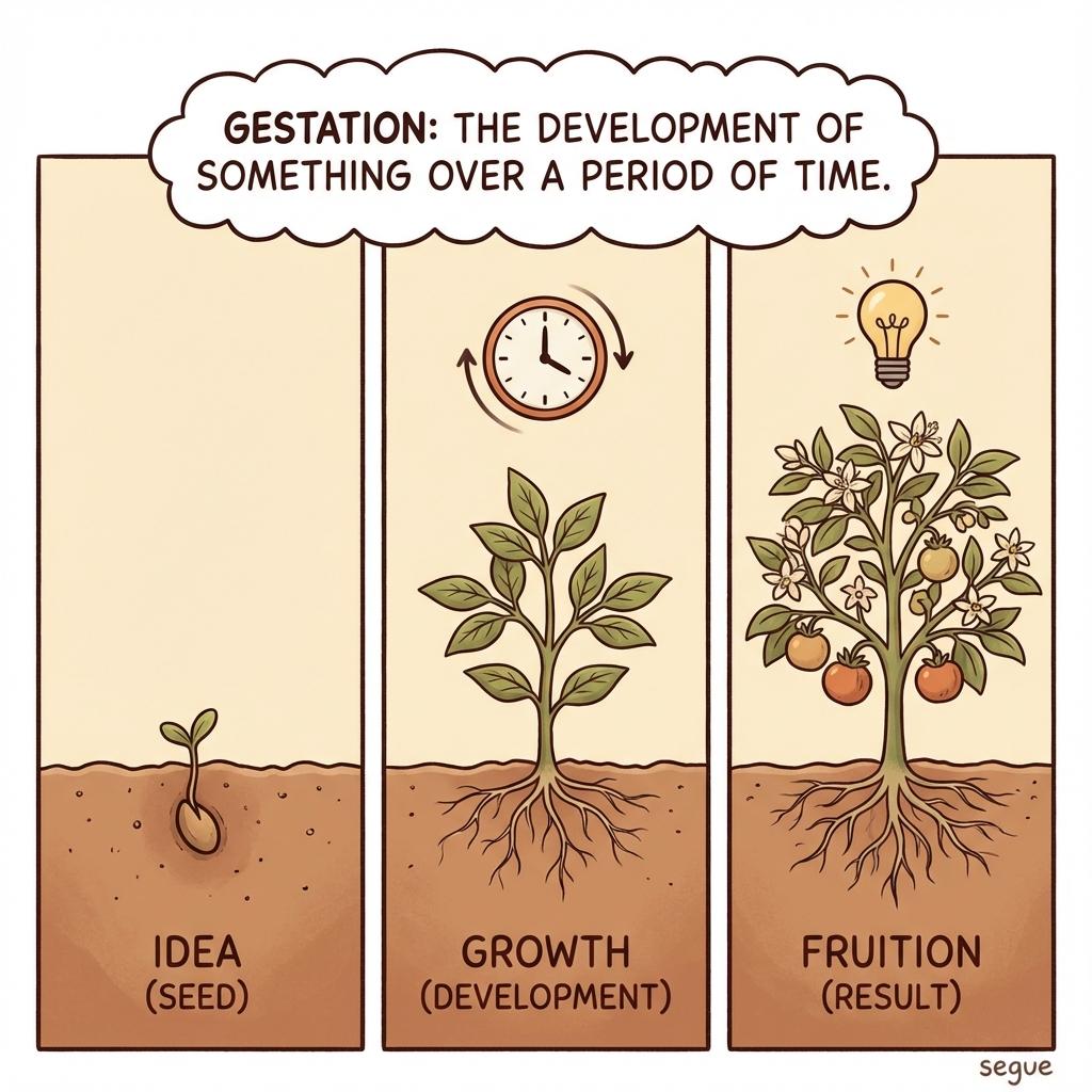 gestation