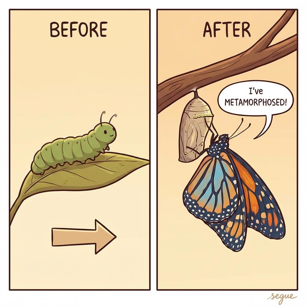 metamorphose